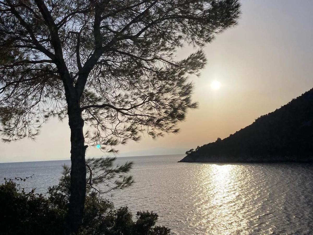 Apartmán Alexandra Sofia Stafylos Exteriér fotografie